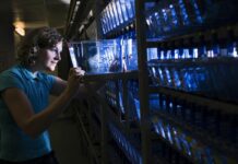 Boehringer Ingelheim i Uniwersytet Vanderbilt poszerzają współpracę w celu opracowania nowatorskich leków do walki z rakiem