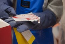 PBKM rekomenduje niewypłacanie dywidendy z zysku za 2018 r.