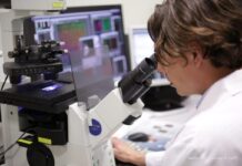 Pharmena: rośnie sprzedaż dermokosmetyków na zagranicznych rynkach