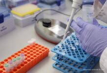 Pharmena zdecydowała o rozszerzeniu badań nad lekiem 1-MNA