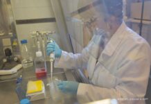 NCBR zgodziło się na wydłużenie do 30 IX terminu realizacji projektu Mabionu