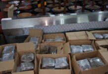 Koniec z czarnym rynkiem. Medyczne konopie już wkrótce dostępne w aptekach