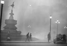 Deloitte: normy i regulacje prawne to za mało, by trwale obniżyć poziom smogu