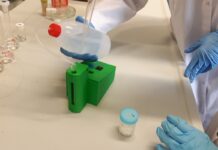 Wynalazek z UW i WUM pomoże w leczeniu poważnych schorzeń nerek