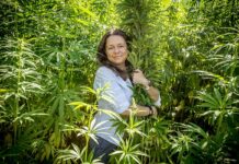 Cannabis Poland rozpoczyna działalność w branży konopi leczniczych i chce pozyskać z rynku 3 miliony zł