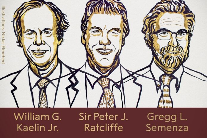 nobel 2019