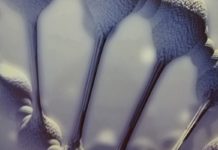 Pharmena: Cząsteczka 1-MNA może mieć dobry wpływ na skutki infekcji koronawirusa