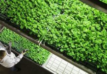 BAT o postępie w pracach nad szczepionką przeciw COVID-19