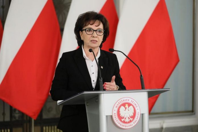 witek wyb