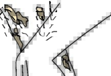 Potrzebne zmiany w programach lekowych łuszczycy, ŁZS i ZZSK