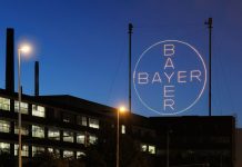 Bayer planuje otworzyć nowy Digital Hub w Warszawie i zatrudnić 400 specjalistów logo firmy Bayer na dachu budynku na tle nocnego nieba