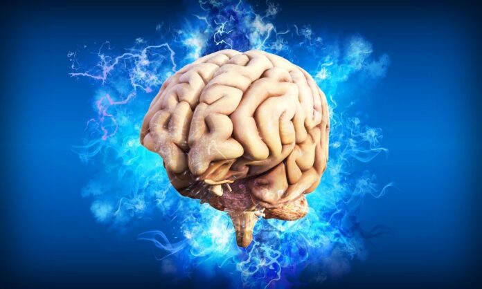 ludzki mózg na niebieskim tle