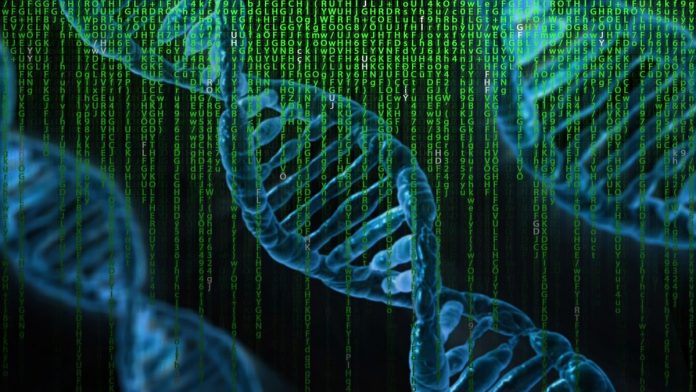 łańcuch DNA
