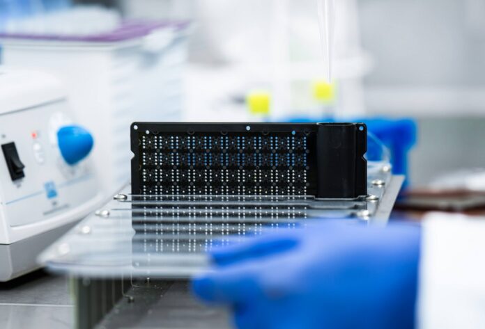 Bacteromic plytka produkcja