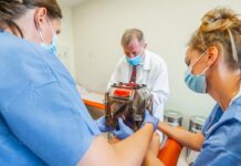 Polmed przejmuje spółkę Kliniki Neuroradiochirurgii